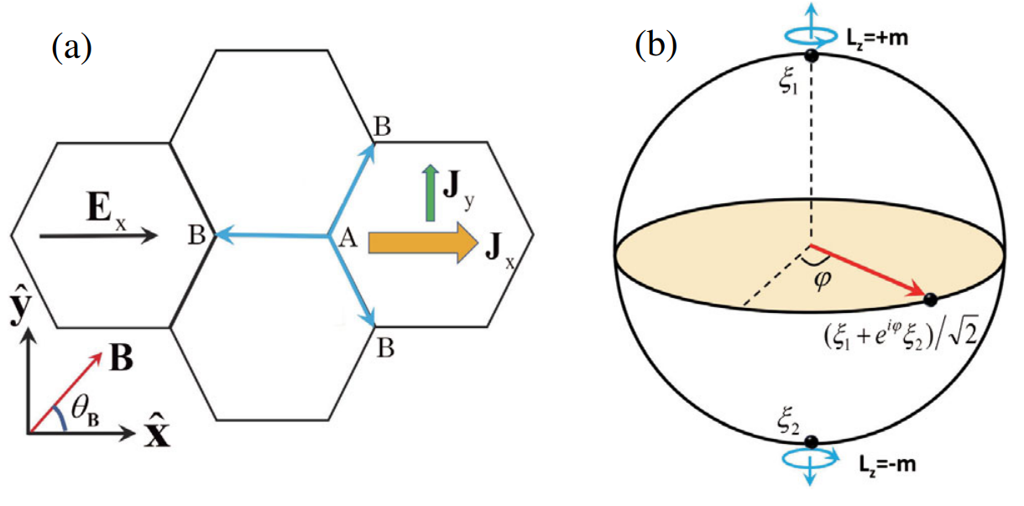 Superconductivity and its interplay with magnetism: 